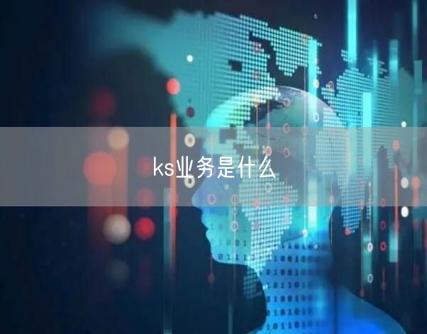 ks业务是什么